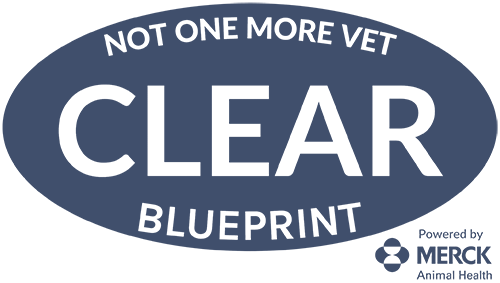 Clear Blueprint